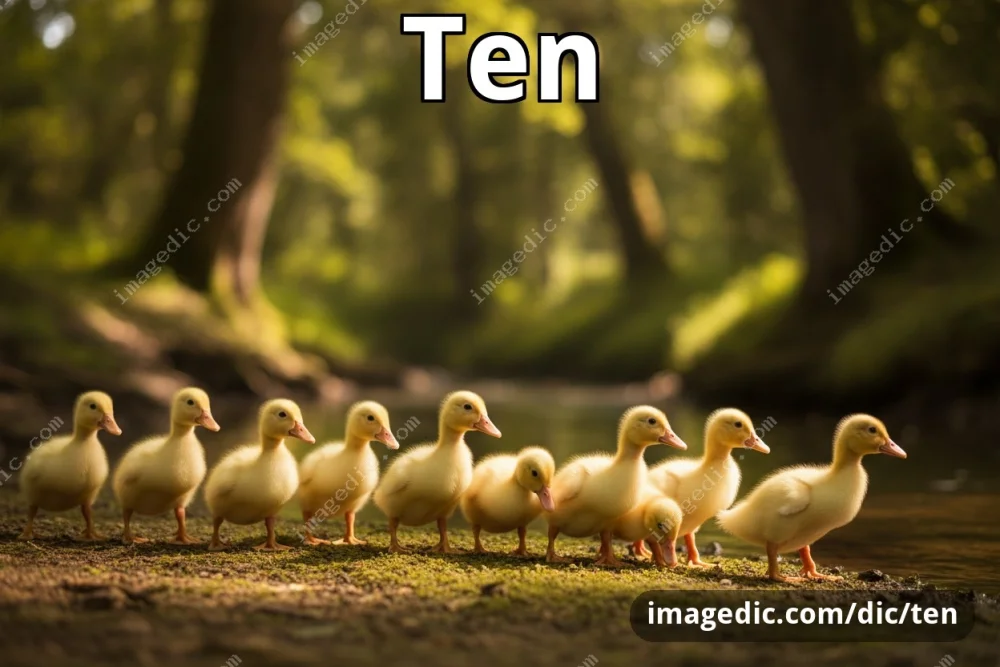 ten