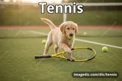 tennis