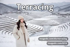 terracing