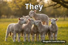 they