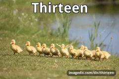 thirteen