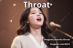 throat