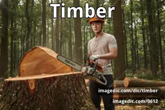 timber