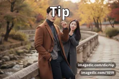 tip
