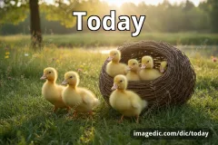 today