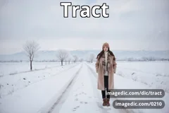 tract