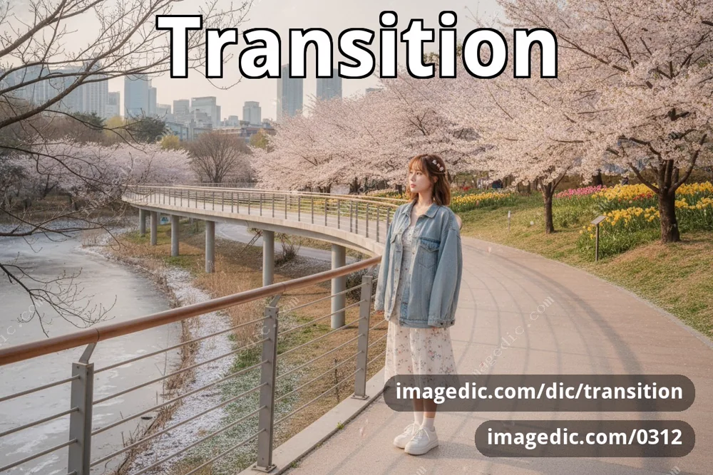 transition