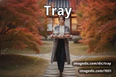 tray