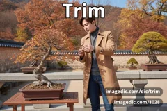 trim