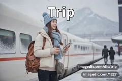 trip