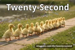 twenty-second
