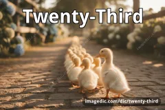 twenty-third