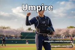 umpire