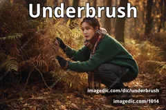 underbrush