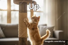 up
