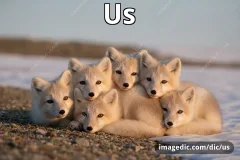 us