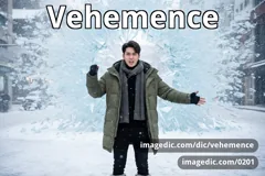 vehemence