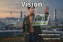 vision