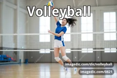 volleyball
