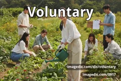voluntary