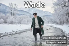 wade