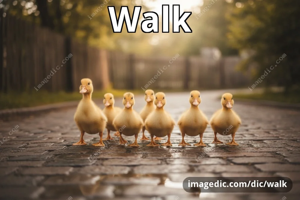 walk