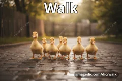 walk
