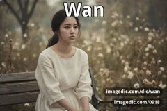 wan