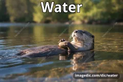 water