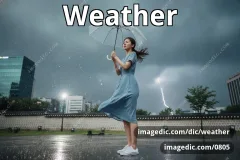 weather
