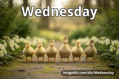 Wednesday