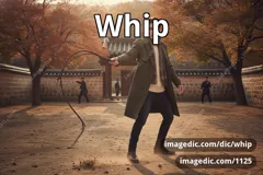 whip