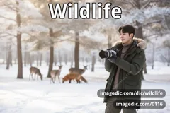 wildlife