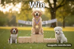 win