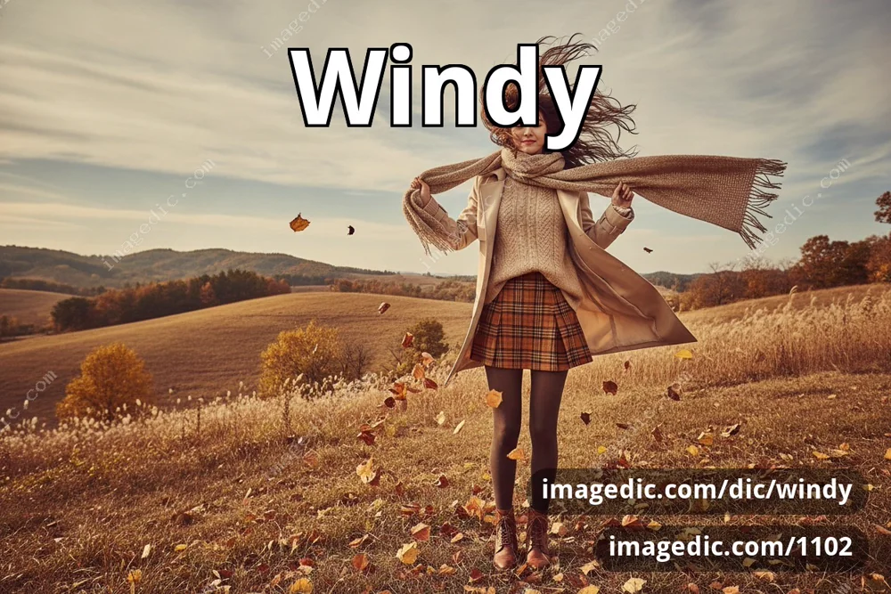 windy