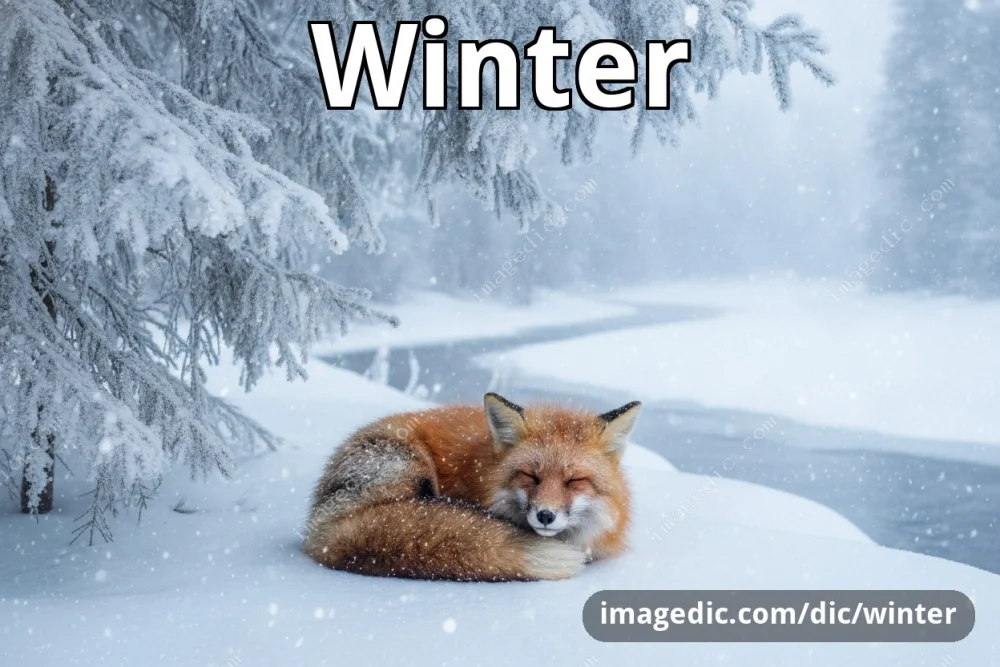 winter