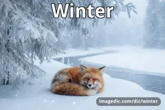 winter
