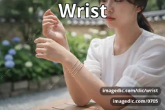 wrist