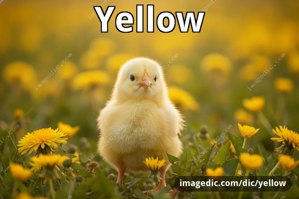 yellow
