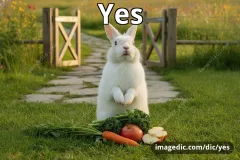 yes