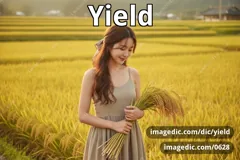 yield