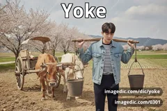 yoke