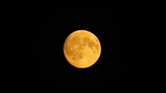 almost