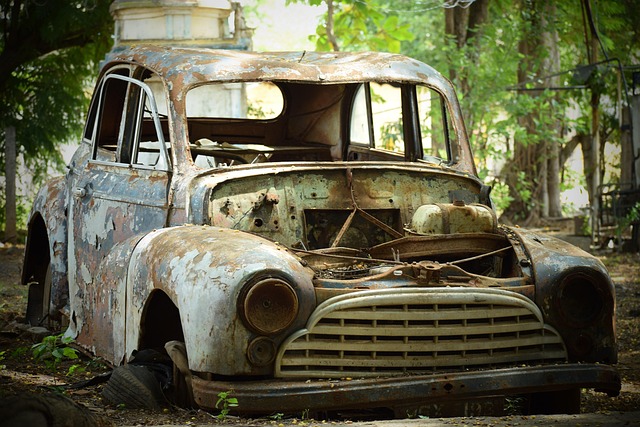 ambassador