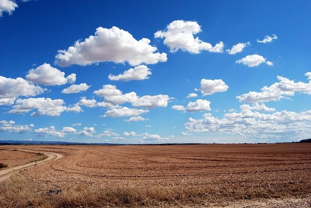 arid