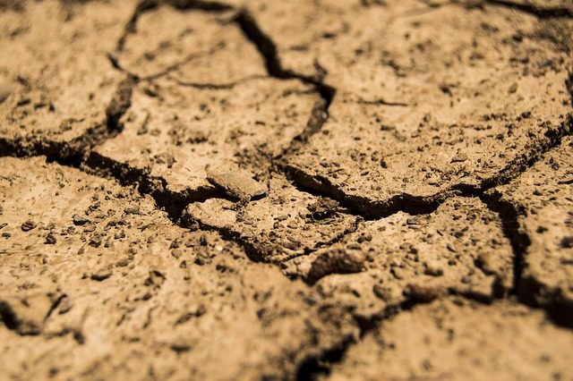 arid