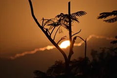 arise