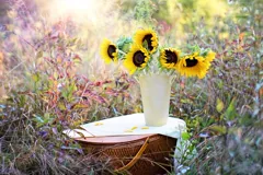 arrangement