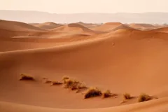 barren