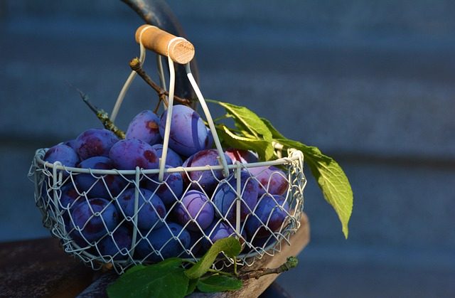 basket